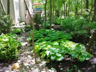 Green Expectations Landscaping team creating beautiful outdoor spaces